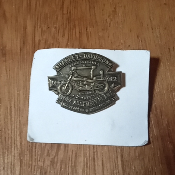 Other - Harley Davidson Pin